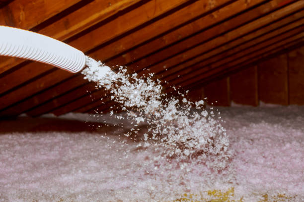 Best Energy-efficient Insulation  in Bryn Athyn, PA