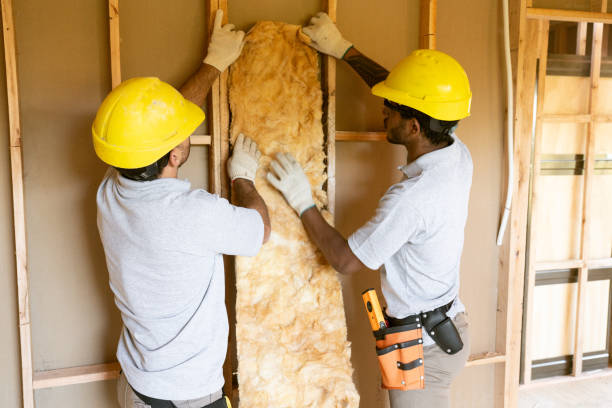 Best Insulation Inspection Services  in Bryn Athyn, PA